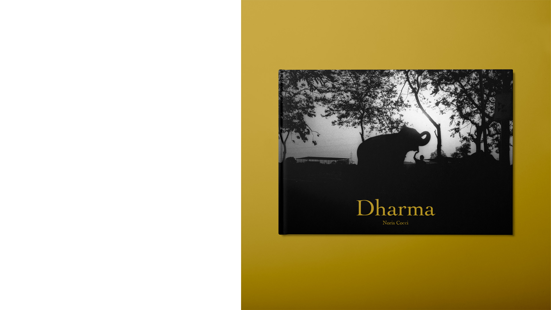 dharma-home-2