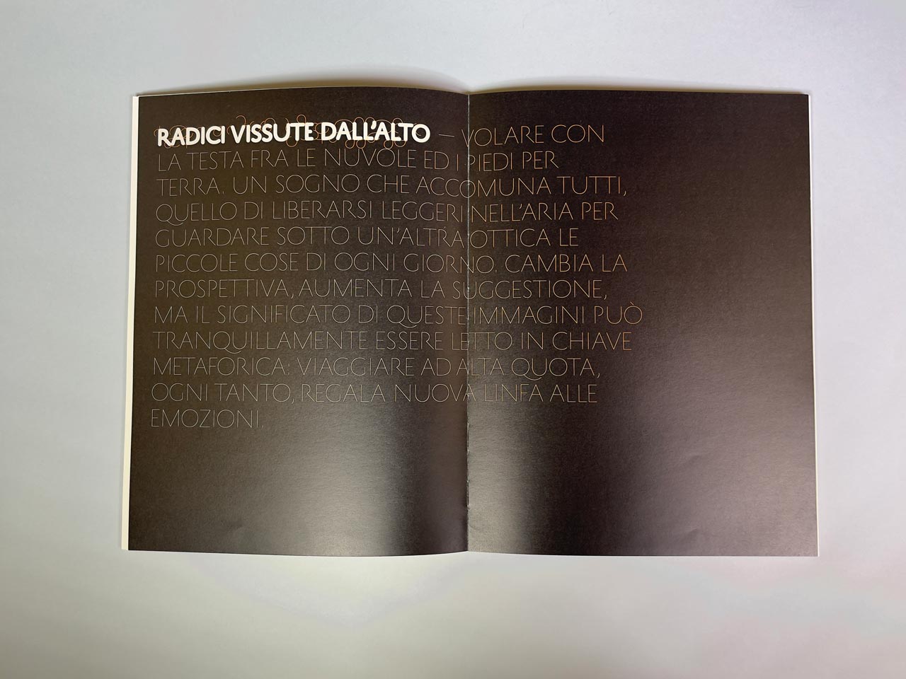 noris-cocci-diario-di-una-terra-vicina-11