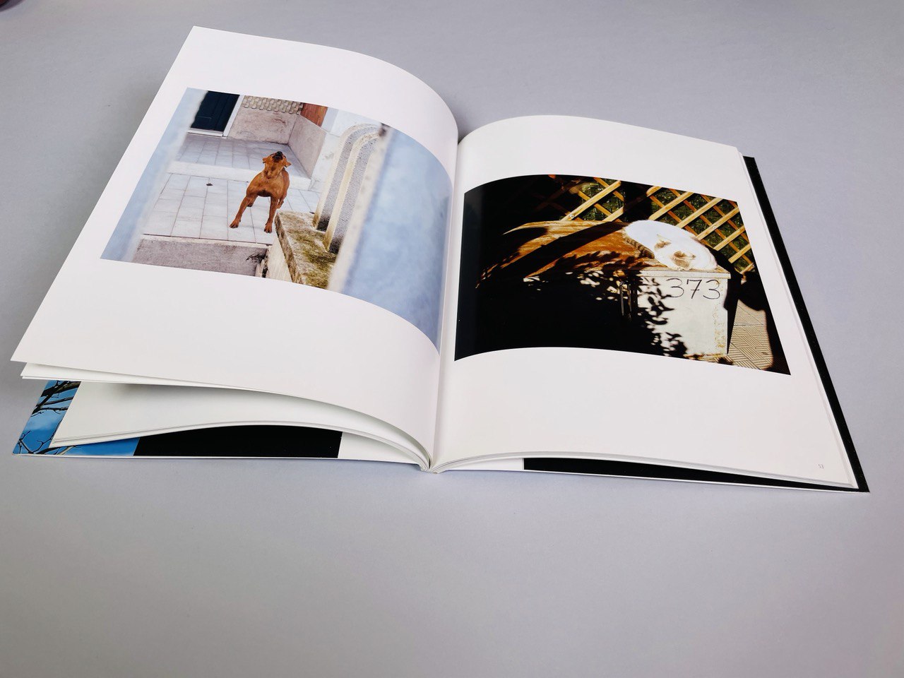 noris_cocci_sono_io_libro_003