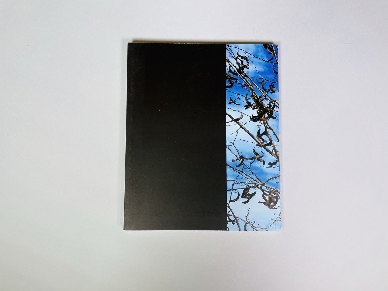 noris_cocci_sono_io_libro_006