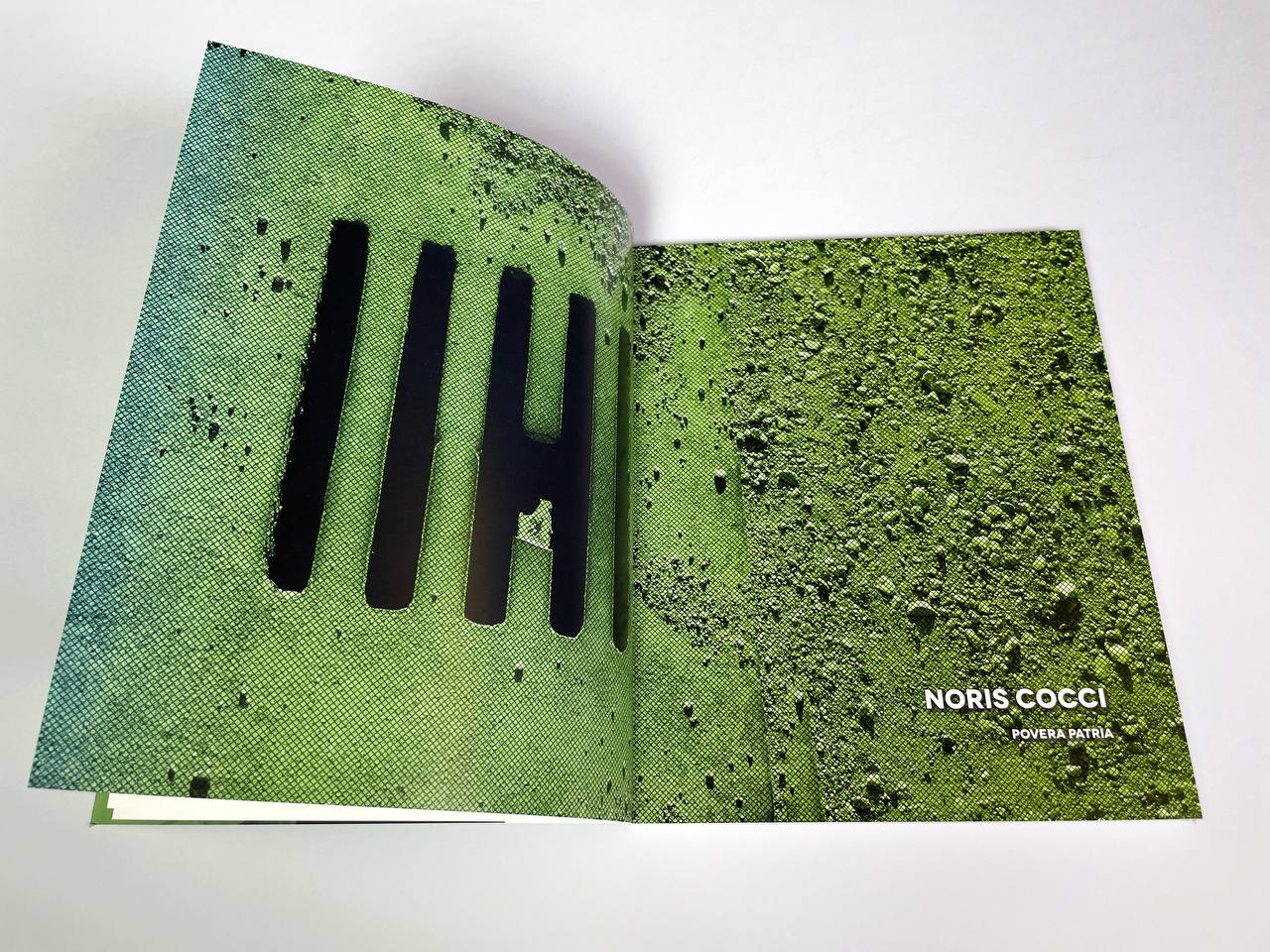noris_cocci_campi_di_polvere_libro_003